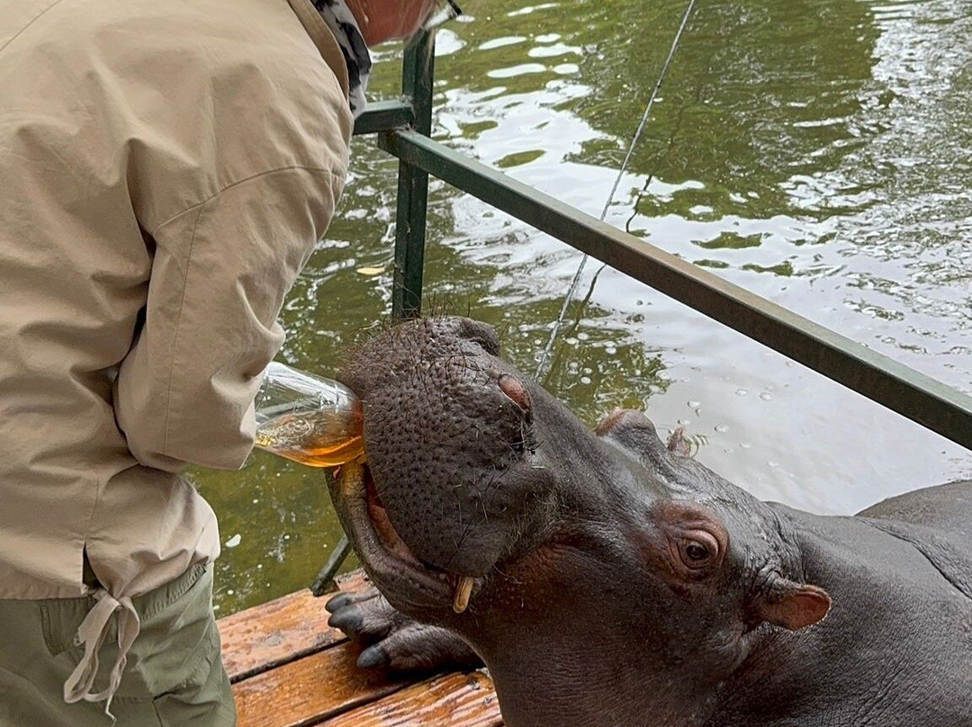 Hippo Jessica-霍德斯普鲁特必去景点