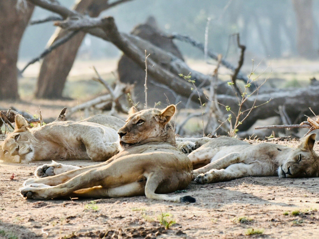EverseenAfrica-霍德斯普鲁特必去景点
