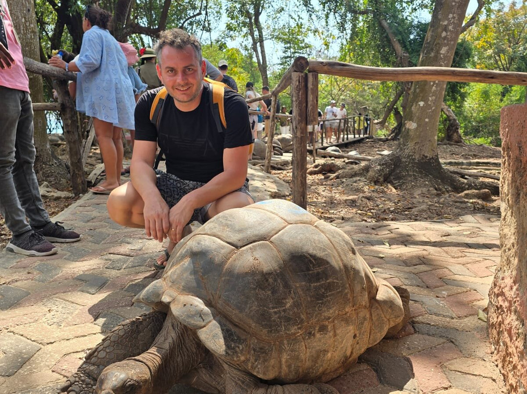 Gigi di Zanzibar-桑给巴尔岛必去景点