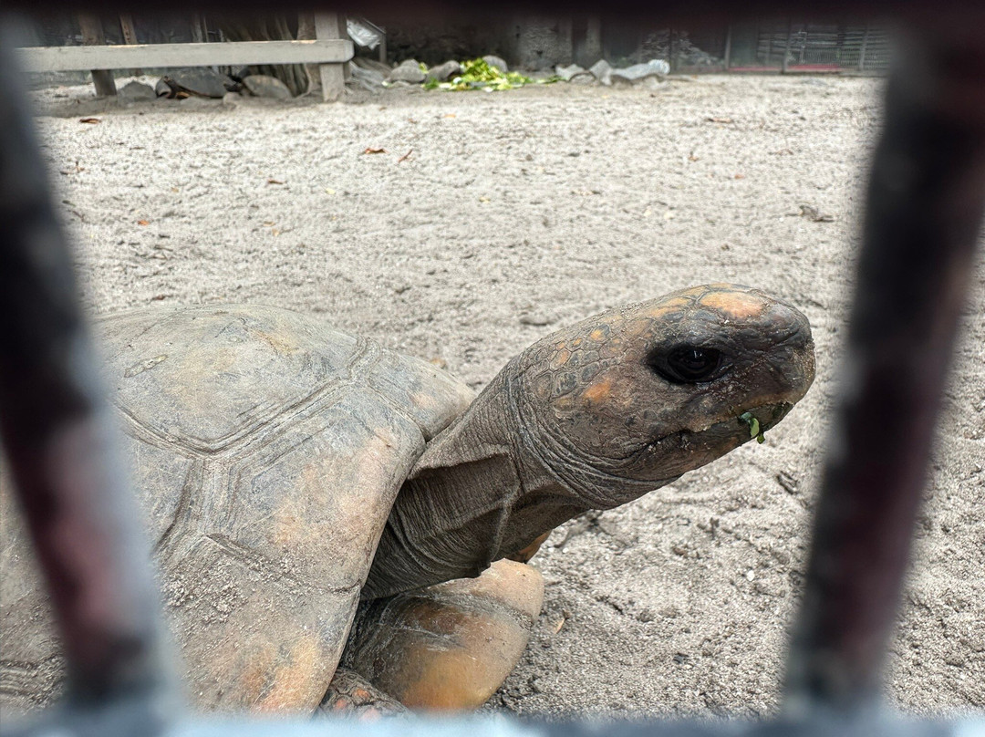 Guyana Zoological Park-乔治城必去景点