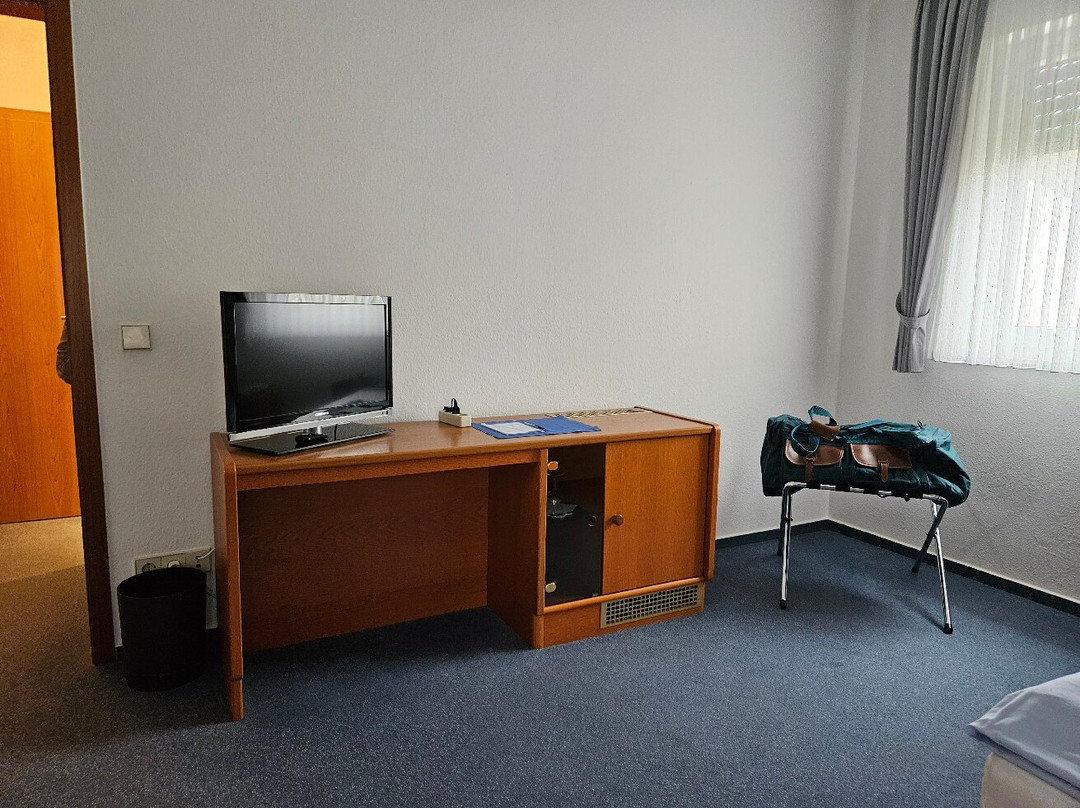 Hotel Muenster主图