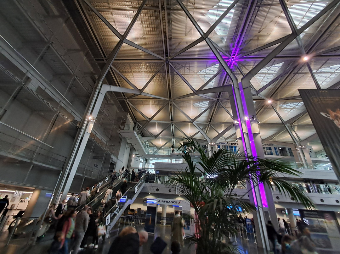 Euroairport Basel-Mulhouse-Freiburg-圣路易斯必去景点