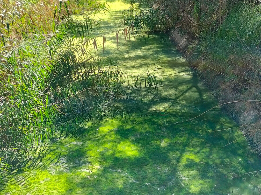 TH Marina Di Pisticci - Ti Blu Village主图