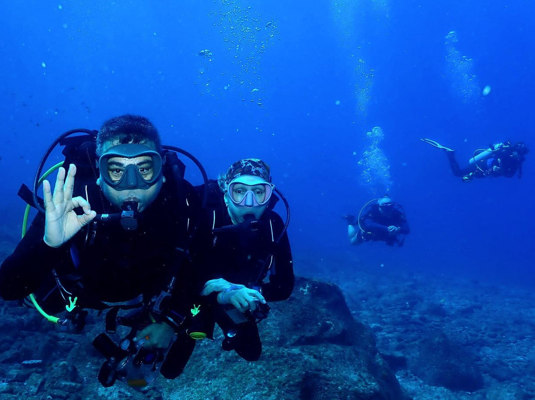 Atlantis Divers-费尔南多-迪诺罗尼亚群岛必去景点
