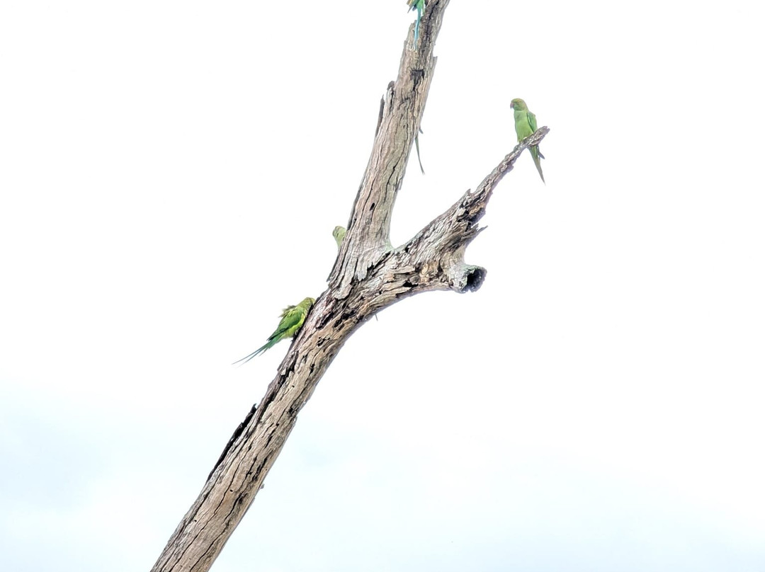 Magical Paradise-Kandana必去景点