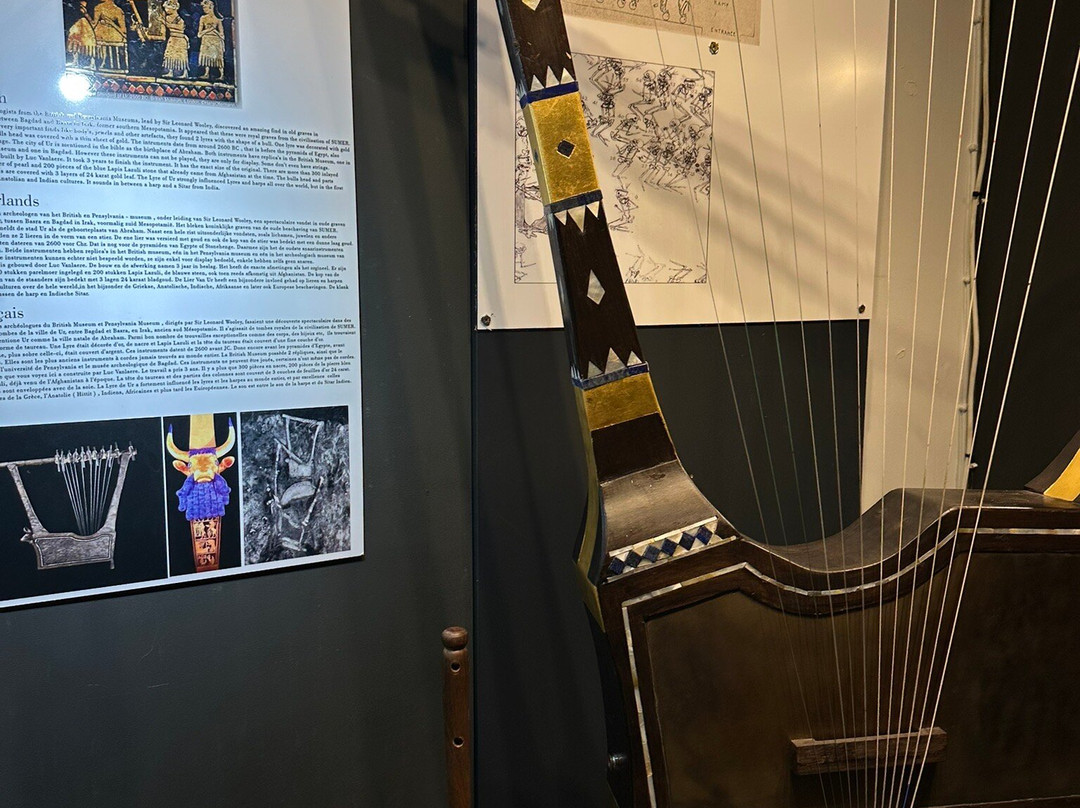 Luc Vanlaere Harpist - Harp Museum-布鲁日必去景点
