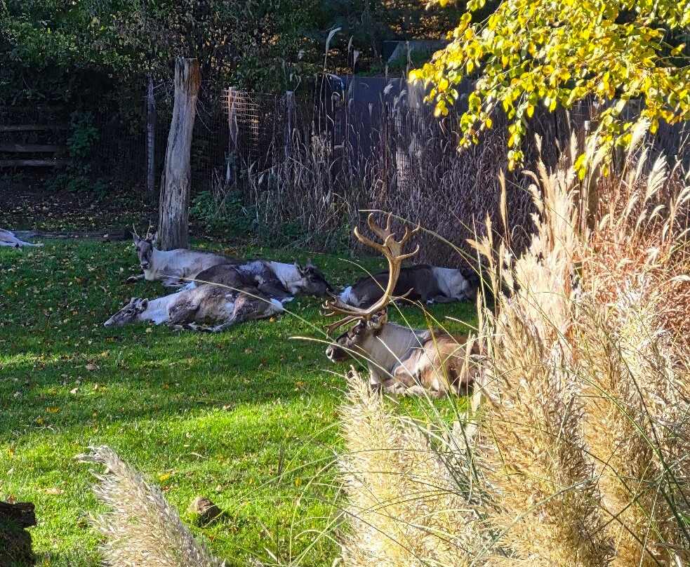 GaiaZOO-科尔克拉德必去景点