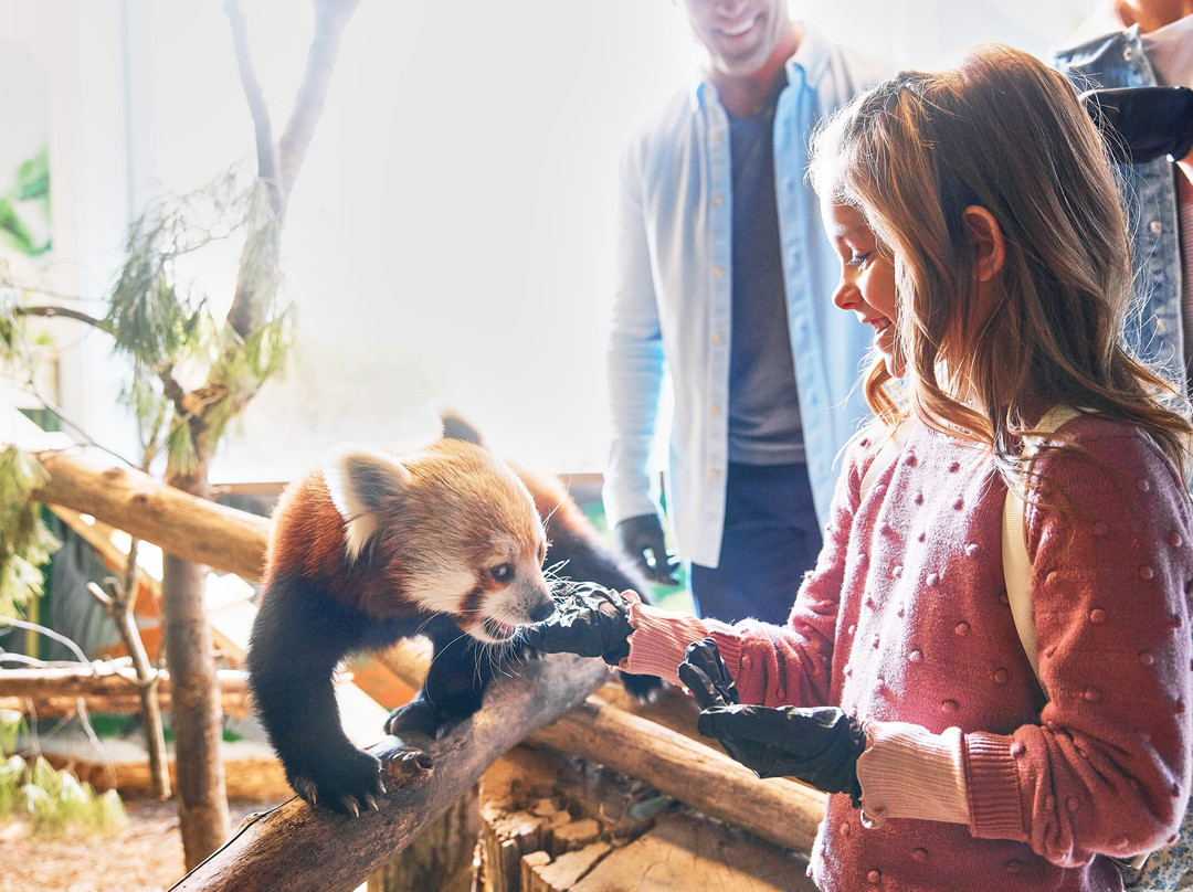 Oglebay Good Zoo-Wheeling必去景点