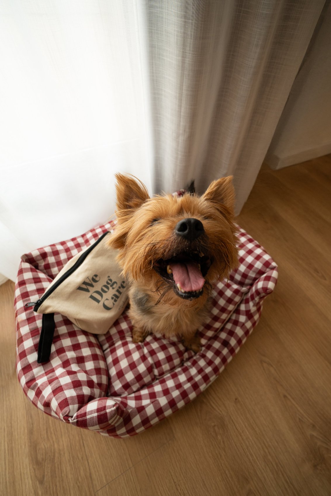 瓦伦西亚海洋怡思得-浴室