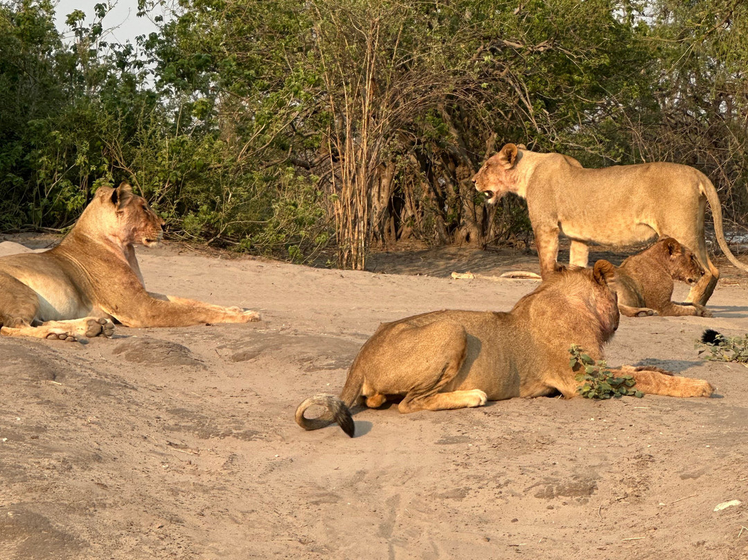 Kalahari Tours-卡萨尼必去景点