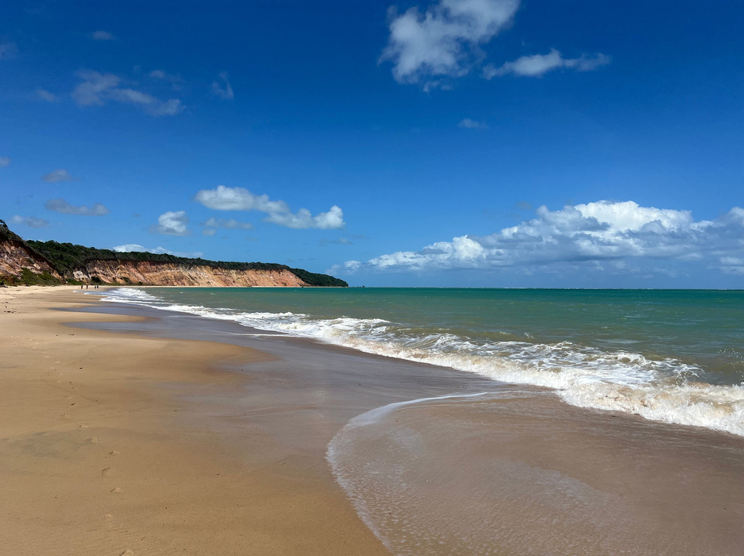 Carro Quebrado Beach-Barra de Santo Antonio必去景点