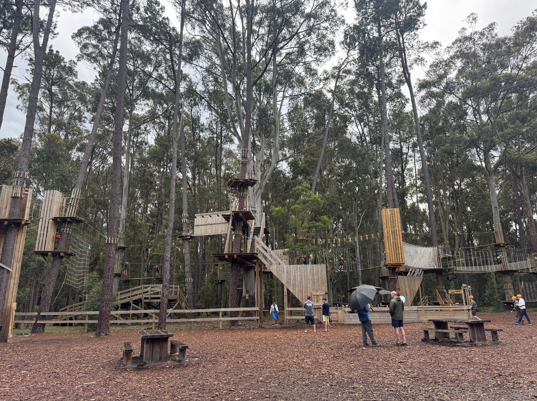 TreeClimb Kuitpo Forest-Kuitpo必去景点