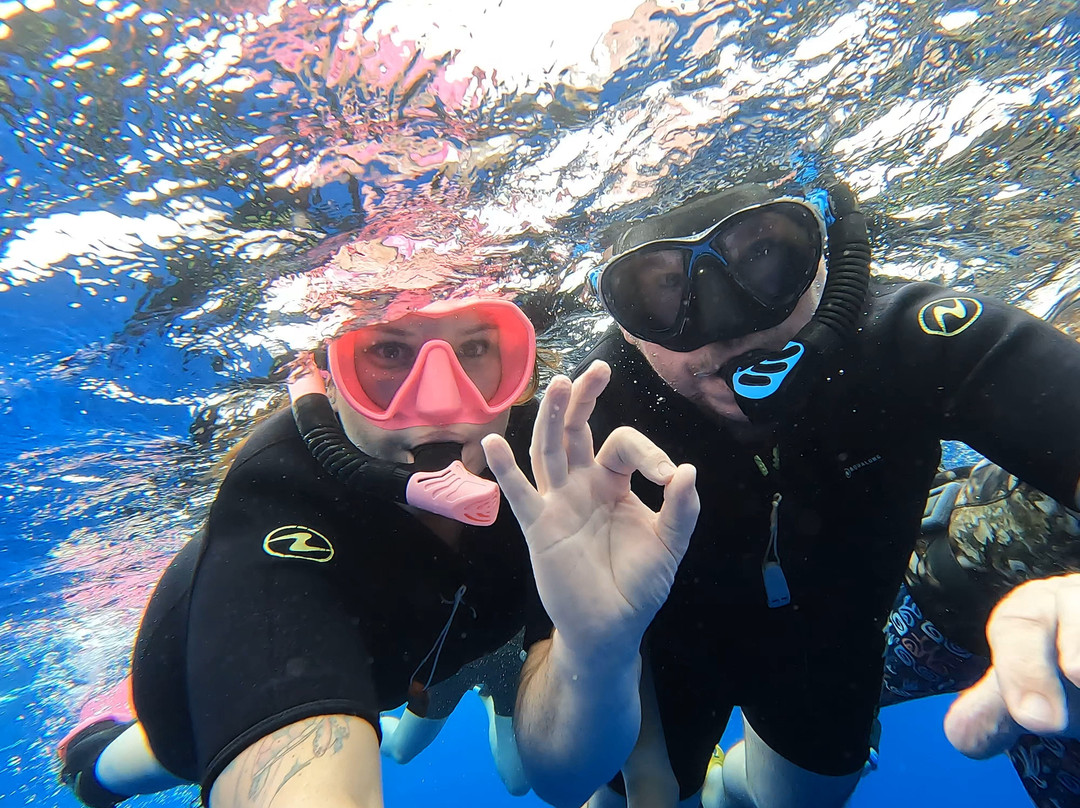 Scubapiti-莫雷阿岛必去景点