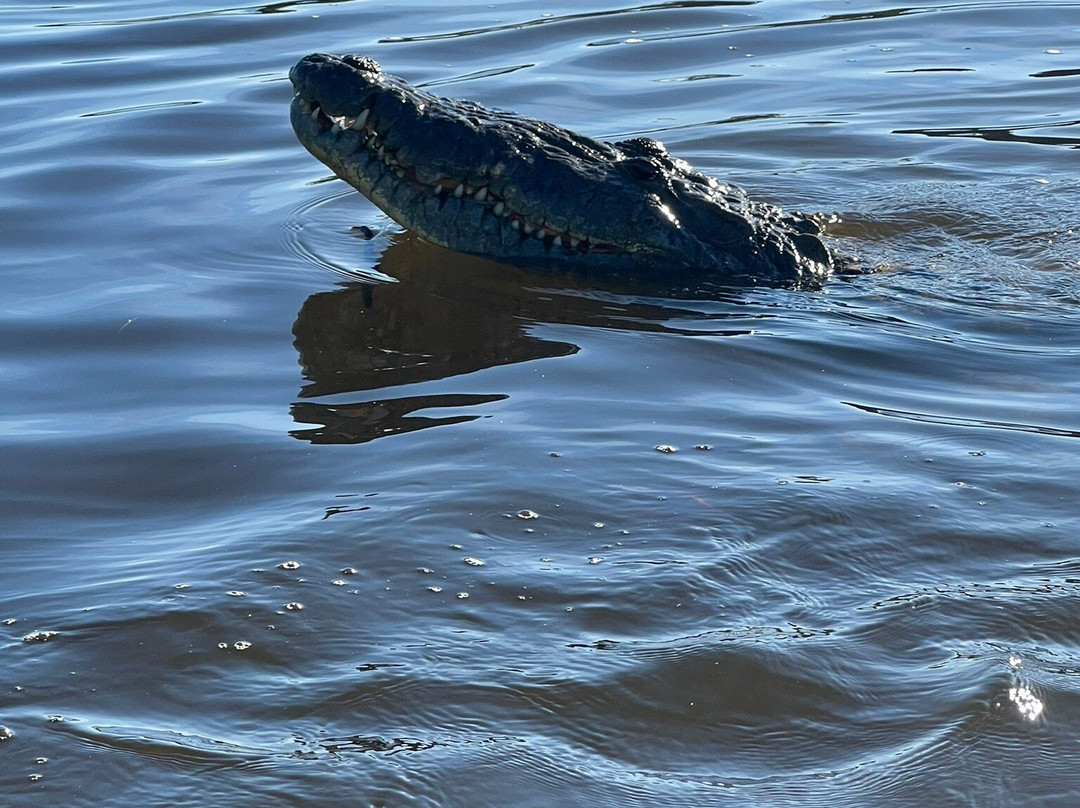 Parque Natural Ria Lagartos-里奥拉加托斯必去景点