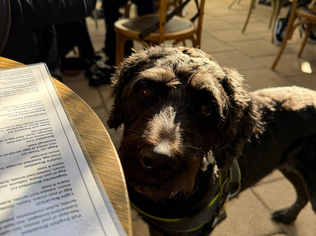 Blackdown Garden Centre,-惠灵顿必去景点