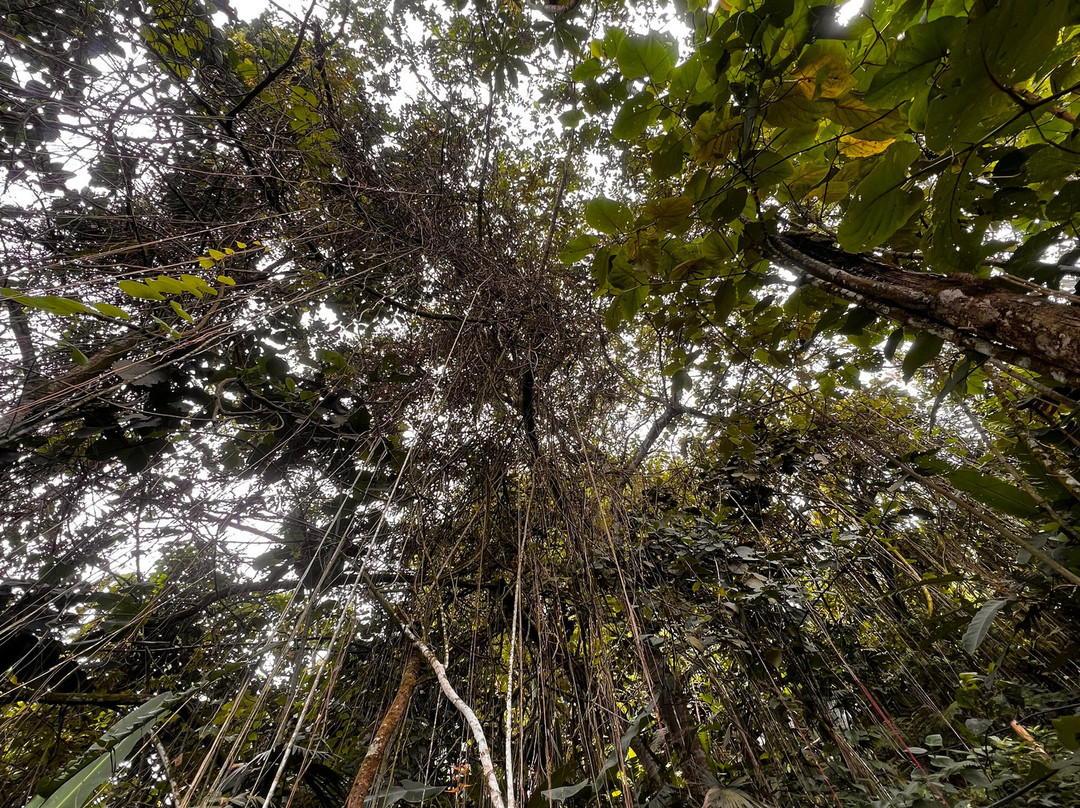 Hotel Spa La Colina主图