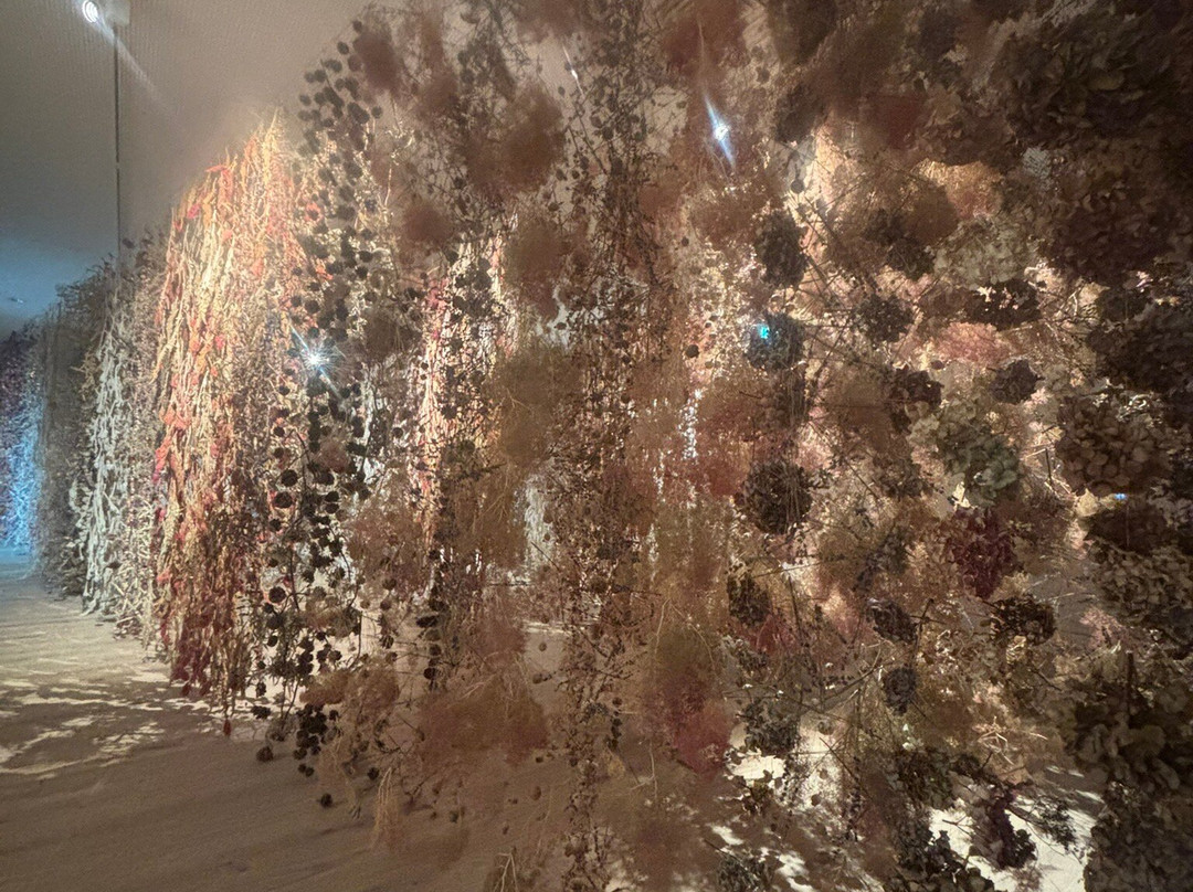 Preston Park Museum & Grounds-Eaglescliffe必去景点