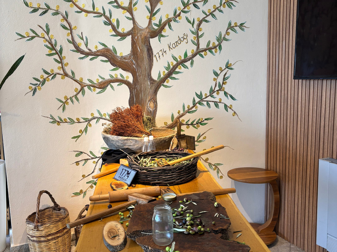 1774 Kazdagi Termal Butik Otel主图