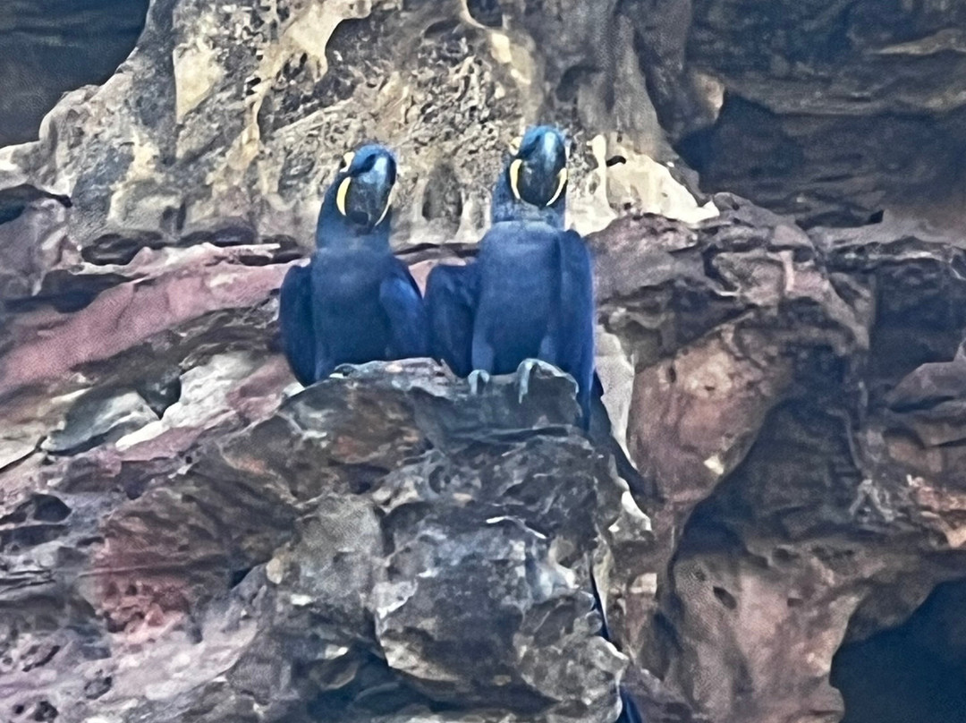 Jalapão Trips-Mateiros必去景点