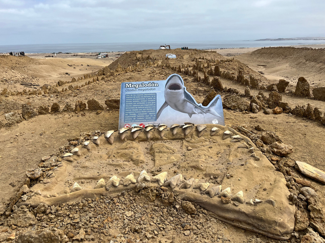 GeoTurismo Atacama-Caldera必去景点