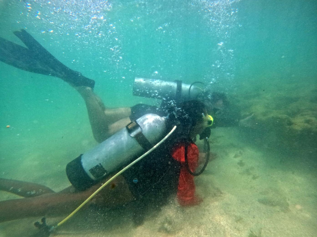 Milagres Mergulho-Sao Miguel dos Milagres必去景点