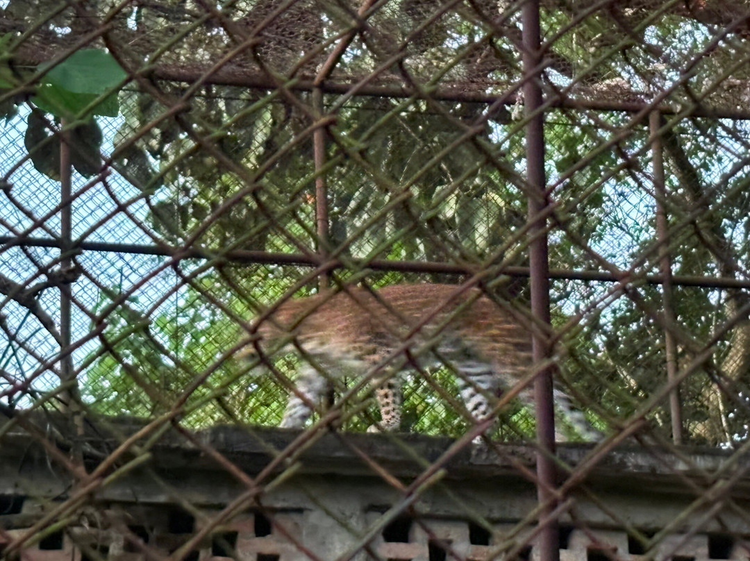 Manipur Zoological Gardens-因帕尔必去景点