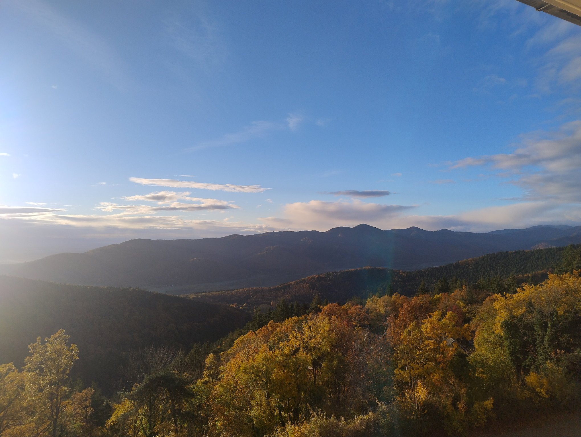 l'Alexain Hotel Restaurant-官方