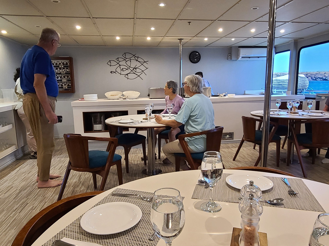 Rolf Wittmer & Tip Top Travel - Galapagos Cruises-阿约拉港必去景点