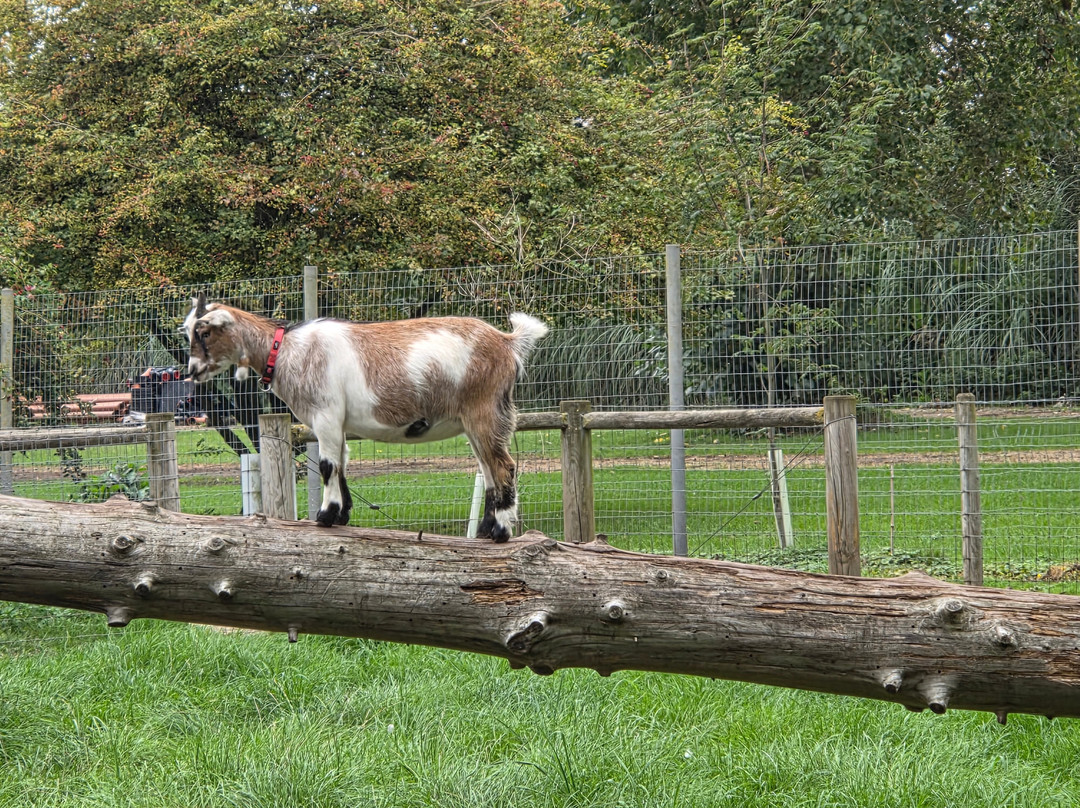 Tattershall Farm Park-Tattershall必去景点