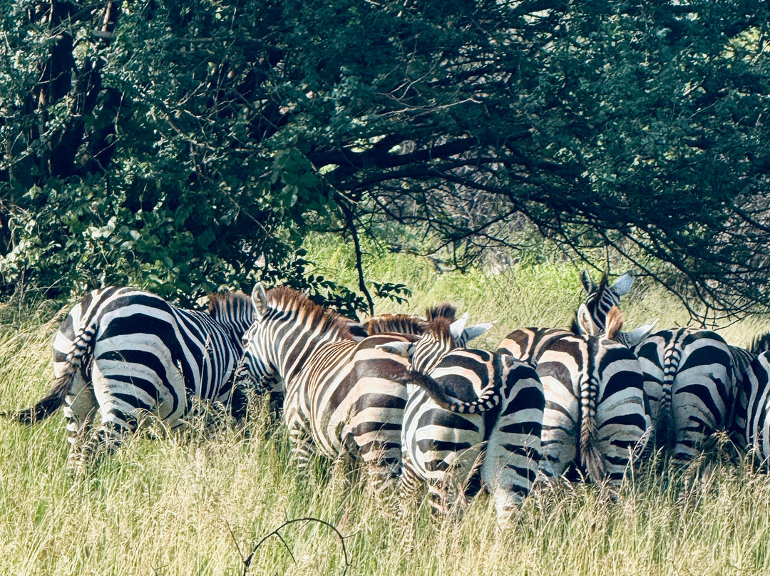 Degu Ashenafi-Jinka必去景点