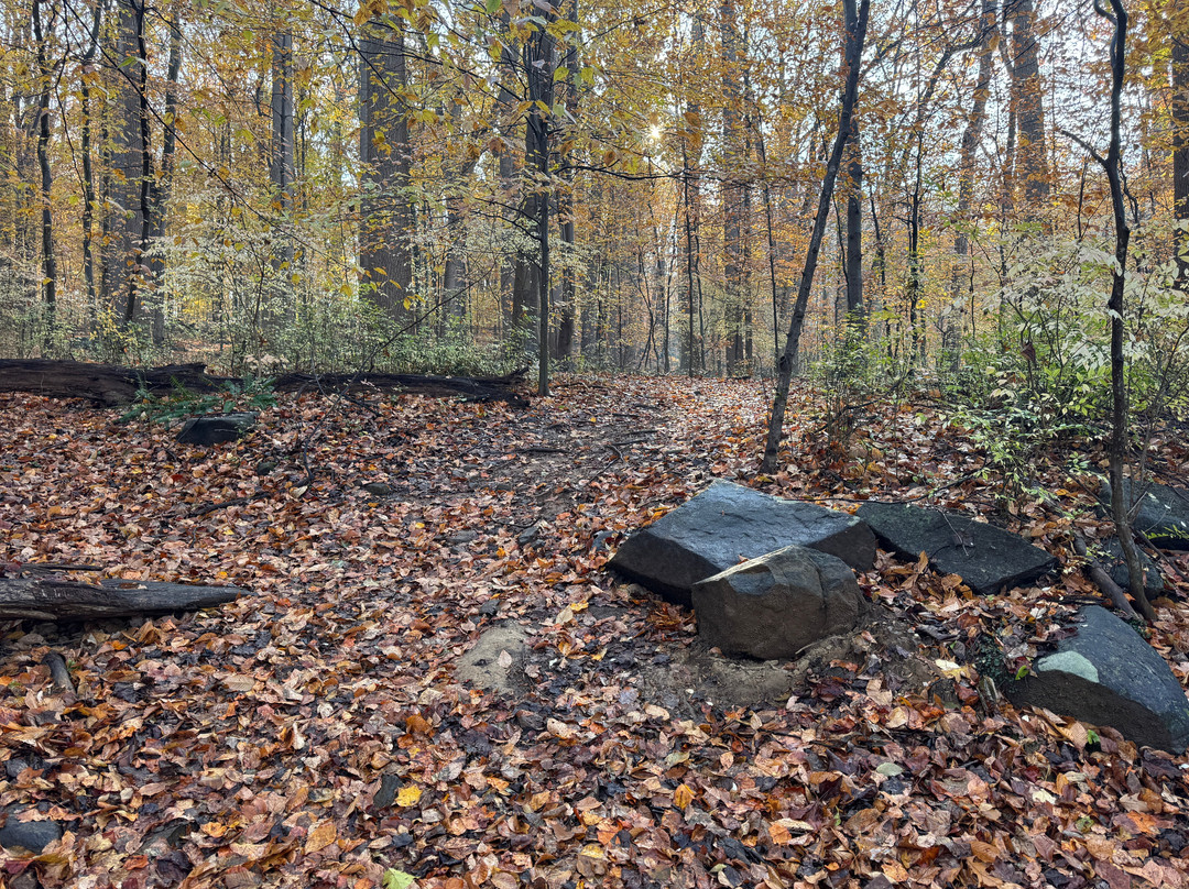 Brandywine Creek State Park-威尔明顿必去景点