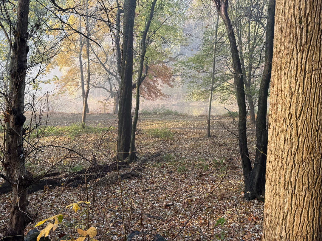 Brandywine Creek State Park-威尔明顿必去景点