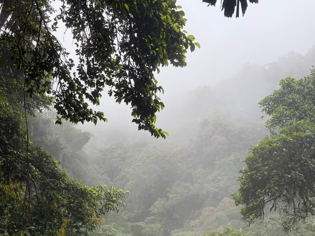 Serendipity Adventures-图里亚尔瓦必去景点