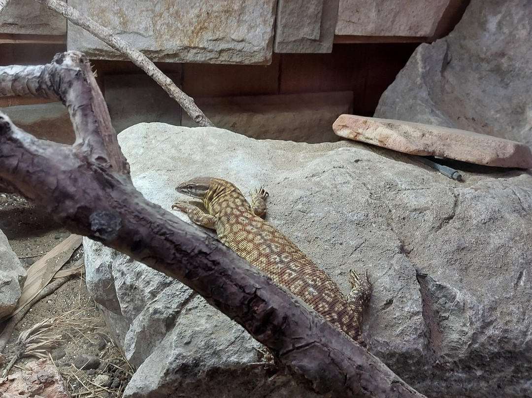 Bugtopia Hornsea Zoo-Hornsea必去景点