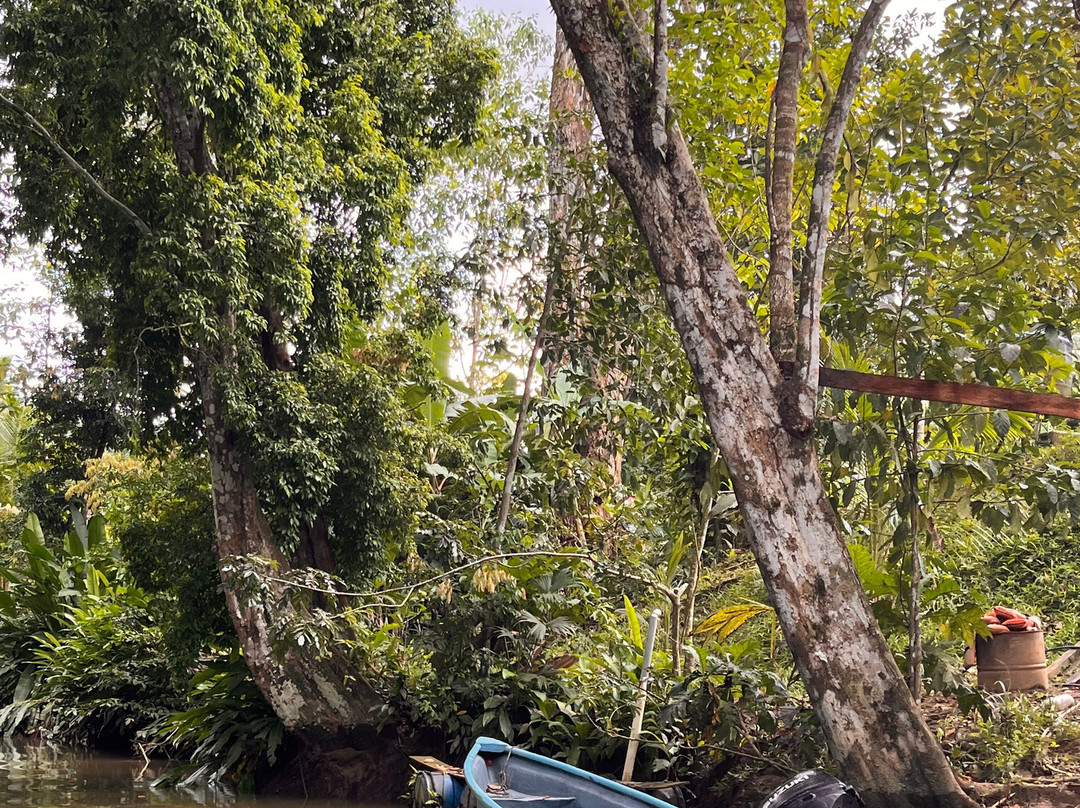 La Perla del Sur Adventures-Sierpe必去景点