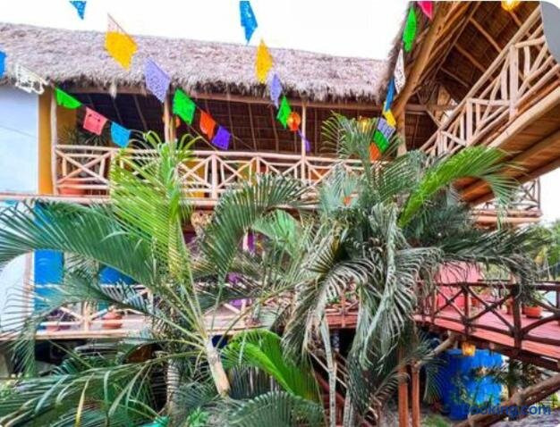 Hotel Artesanal Palomera