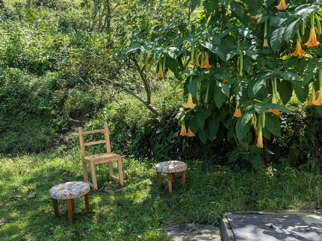 Oona - Cacao & Chocolate