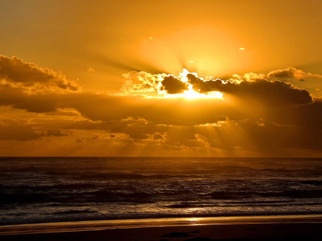 Gansbaai & Pearly Beach Horse Trails-干斯拜必去景点