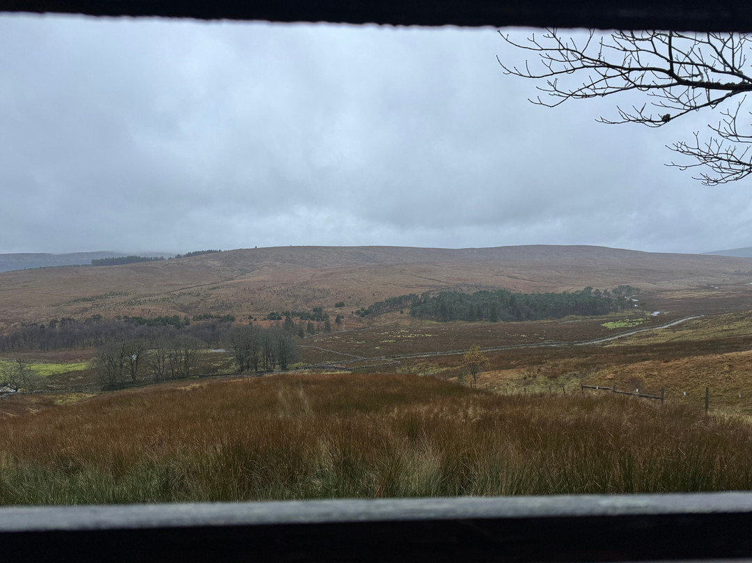 Nethergill Farm主图