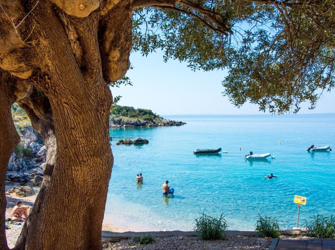 Villa Mediteran  Rooms主图