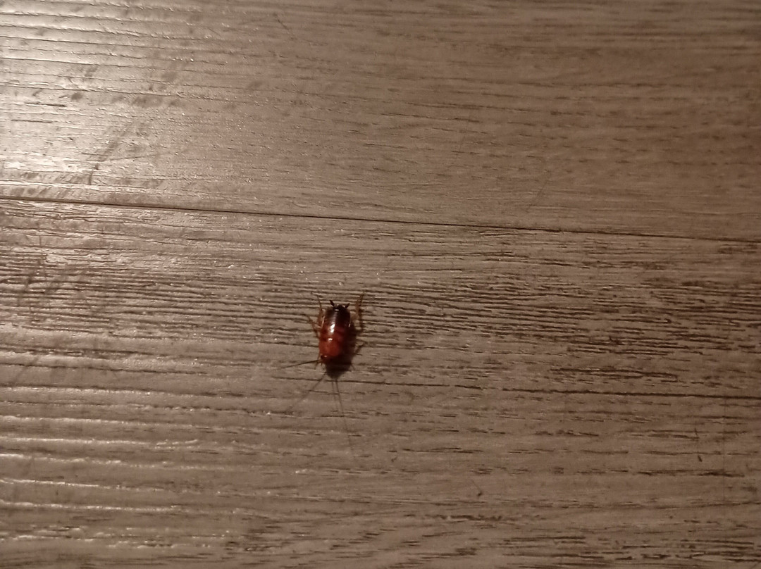 红岩汽车旅馆主图