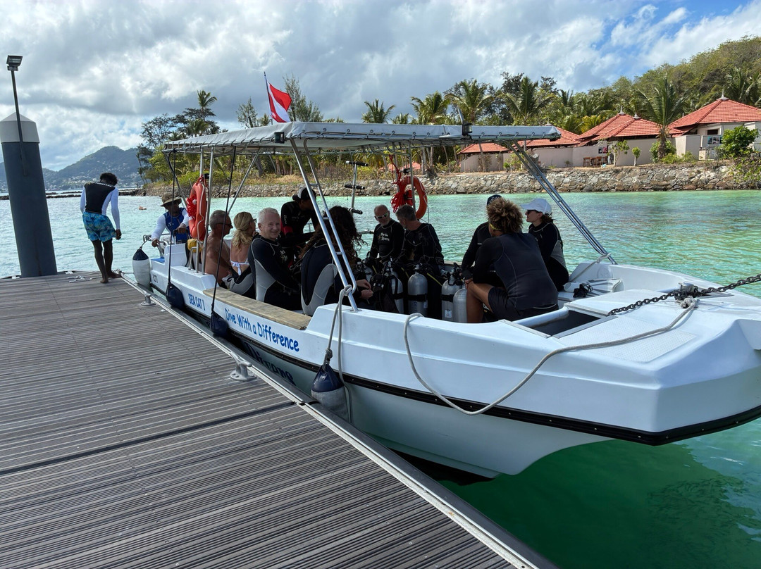 Blue Sea Divers Sainte-Anne-Sainte Anne Island必去景点