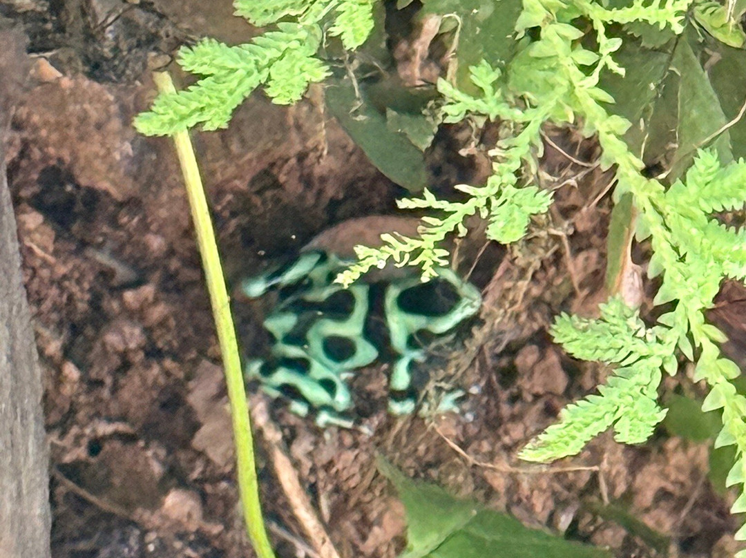 Chocorart-旧港必去景点