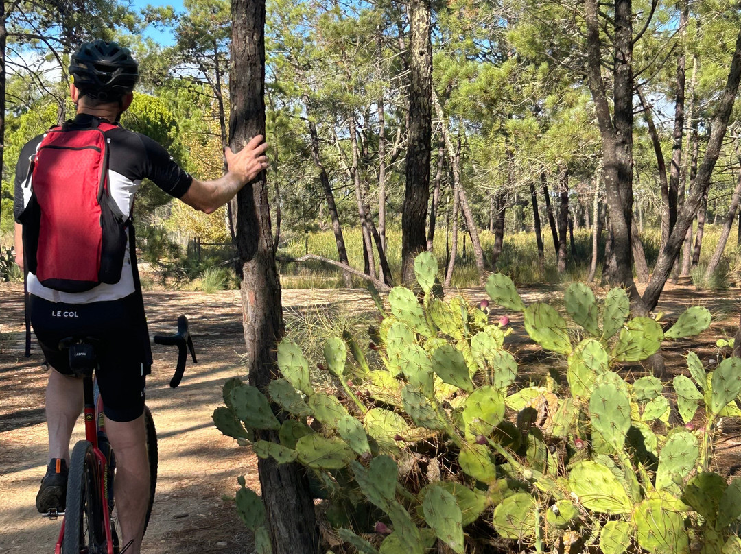 Algarve Cycling-法罗必去景点