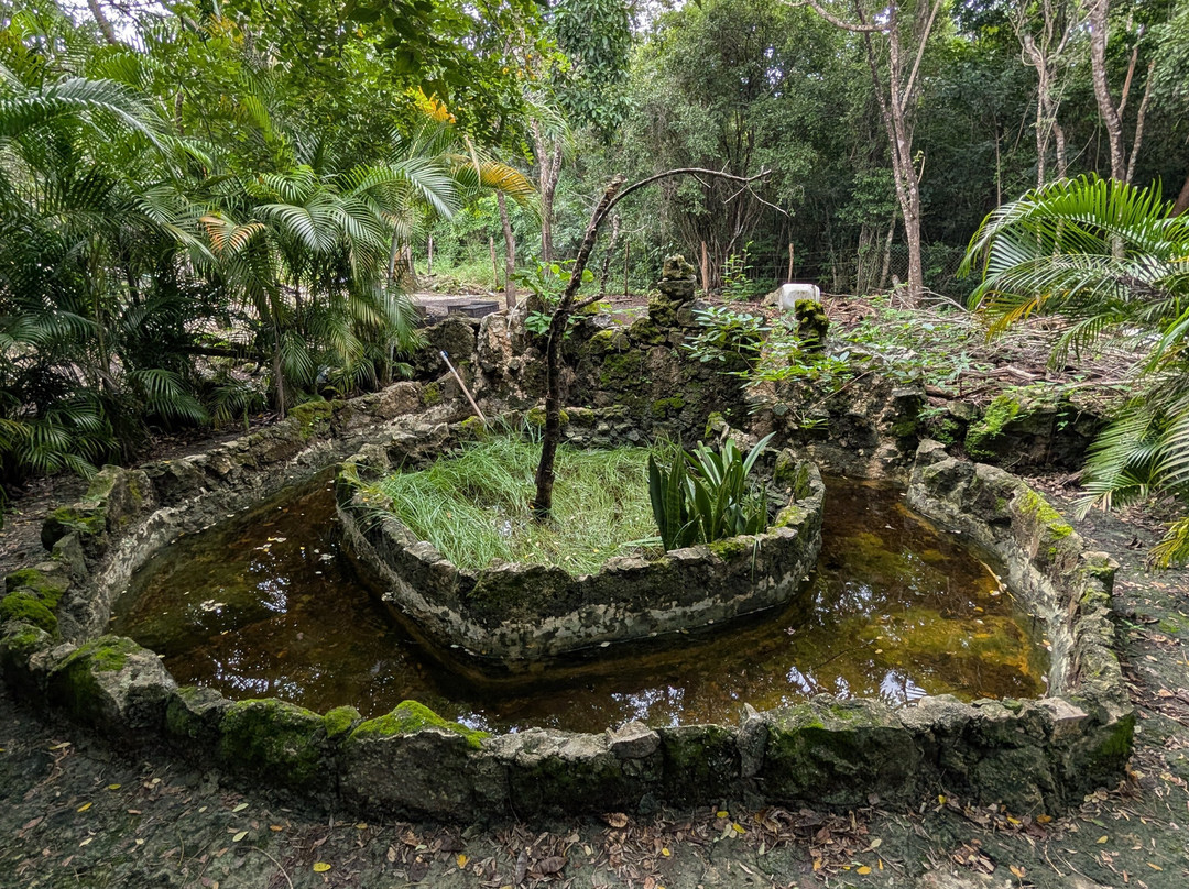 Mayan Bee Sanctuary-San Miguel de Cozumel必去景点