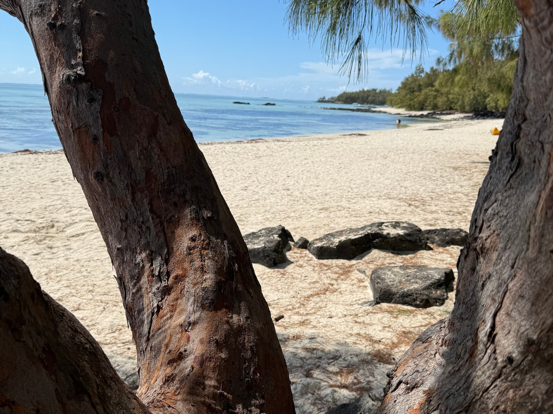 The Real Taxi Mauritius-Centre de Flacq必去景点