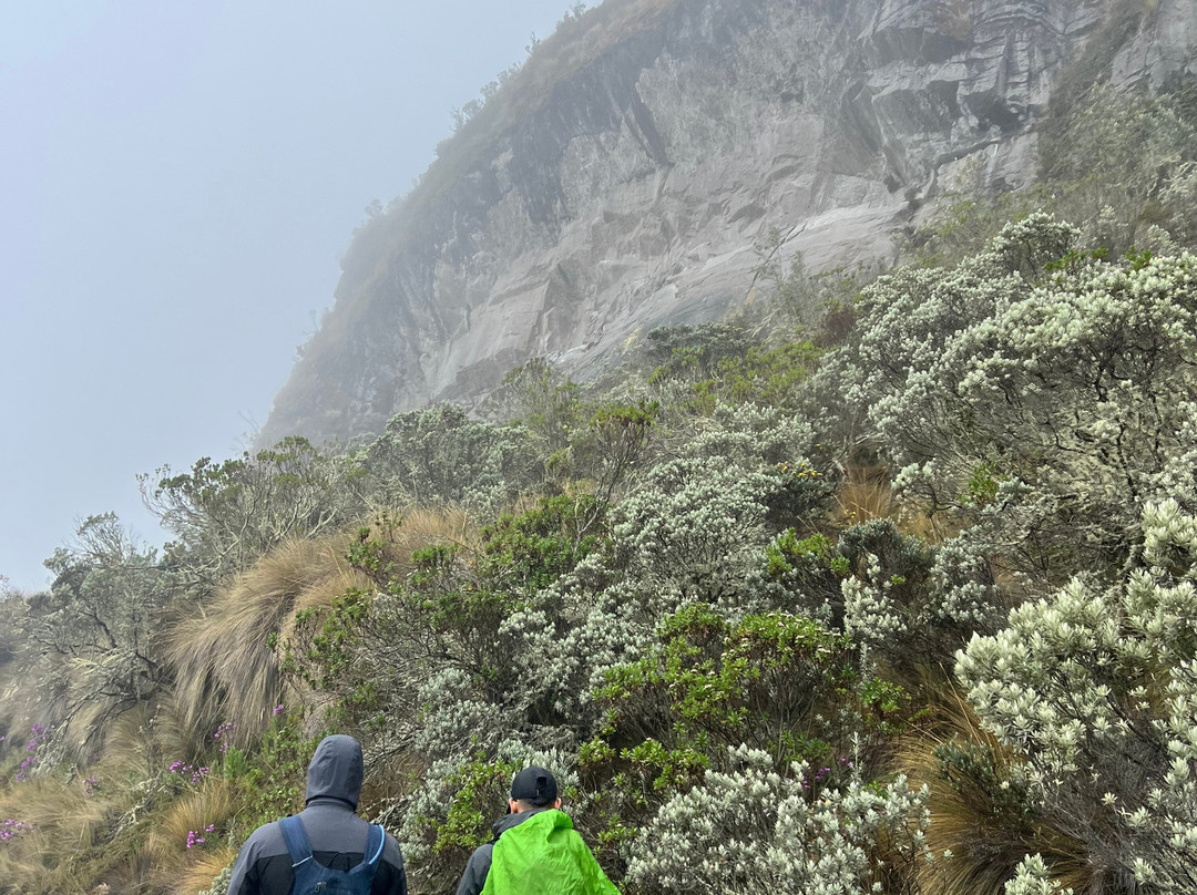 Somos Monos Travel-佩雷拉必去景点