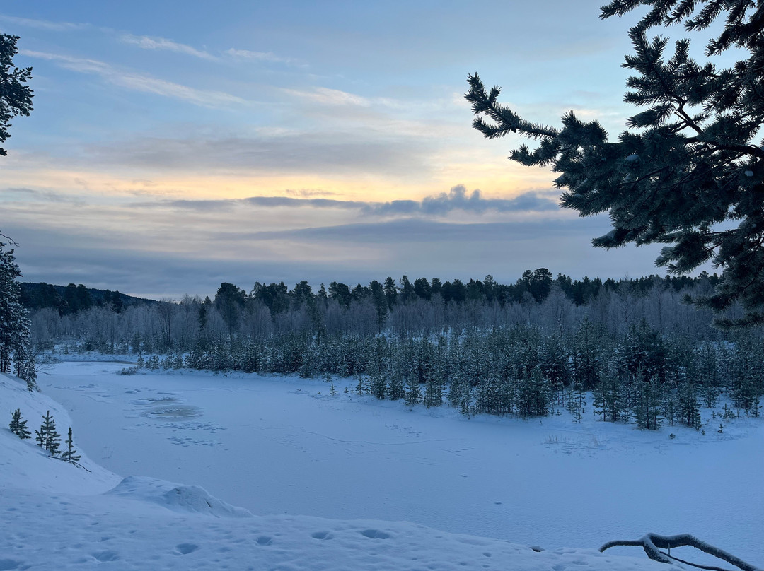 Inari Reindeer Farm-伊纳里必去景点