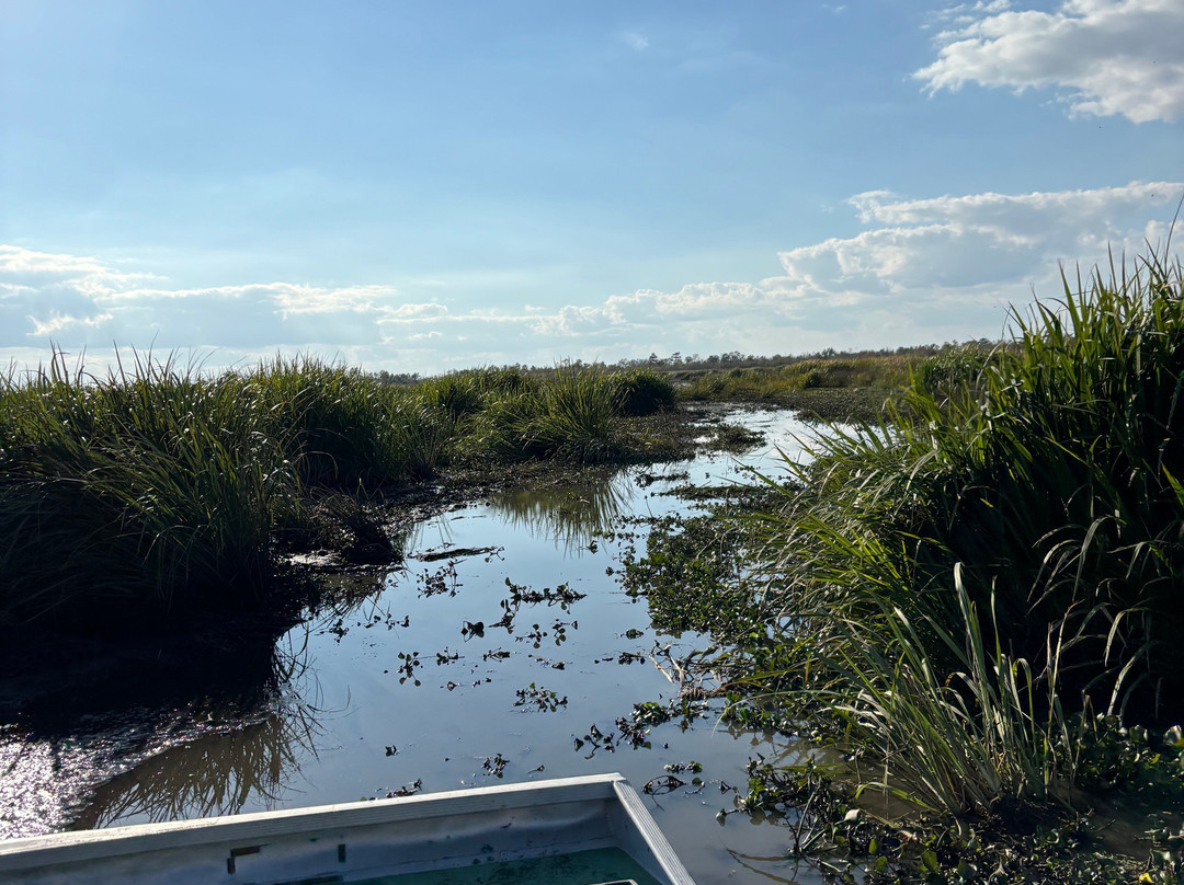 Ragin Cajun Airboat Tours-新奥尔良必去景点