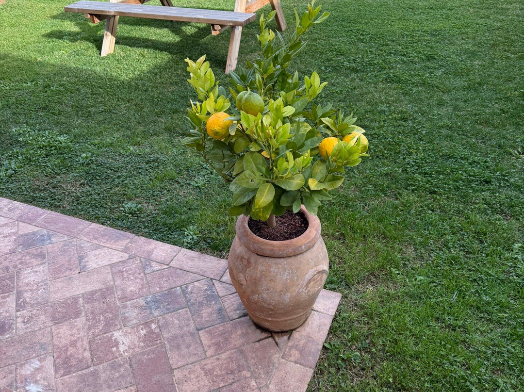 Madonnabella Winery & Wine Shop-锡耶纳必去景点